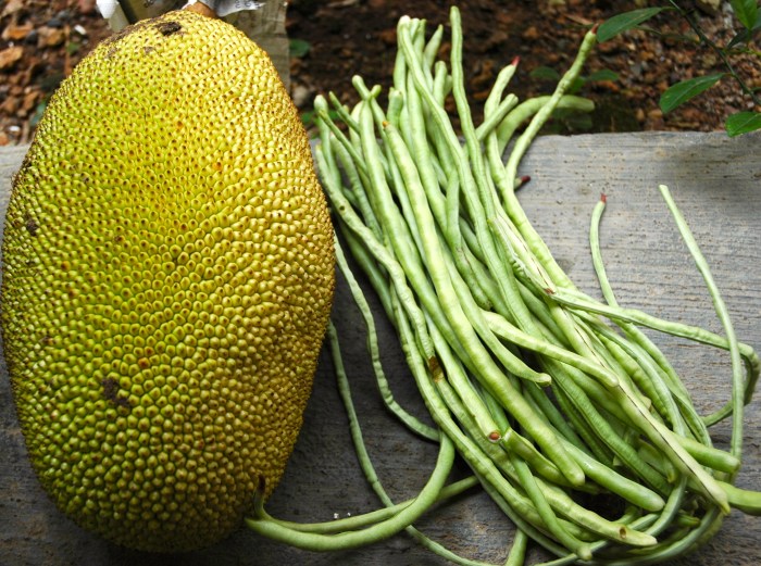 Jack fruit & long beans