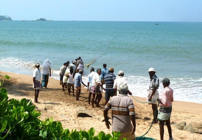 fishermen hauling in a net