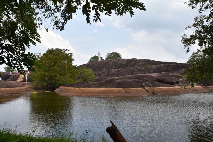 The ancient Bo Tree on the rock