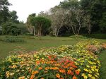 henarathgoda_botanical_garden